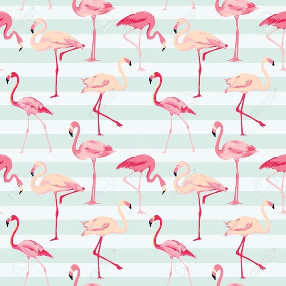 Meet your Posher, Kate - Picture 1 of 1